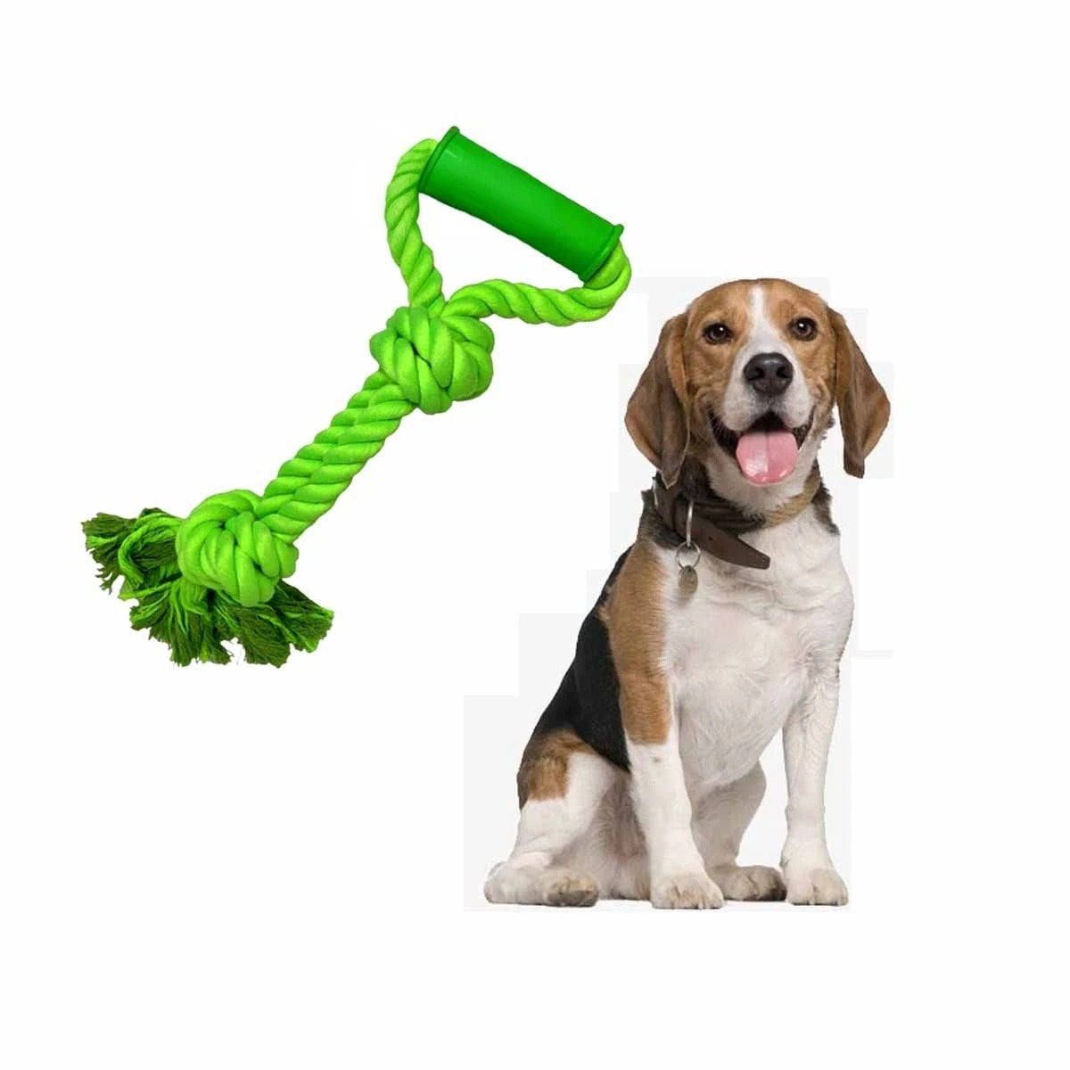 PACK6 CUERDA FUNCIONAL PARA PERRO CON AGARRADERA EN COLOR VERDE LIMON Y+REGALO STICKER - 2
