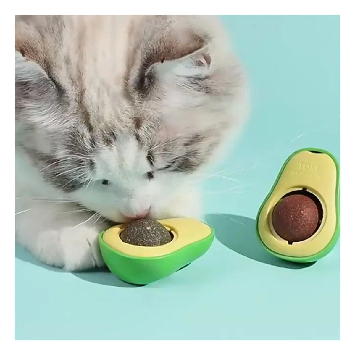 PACK12 SNACK NATURAL PARA GATOS EN FORMA DE PALTA VERDE Y+PAPEL REGALO - 5