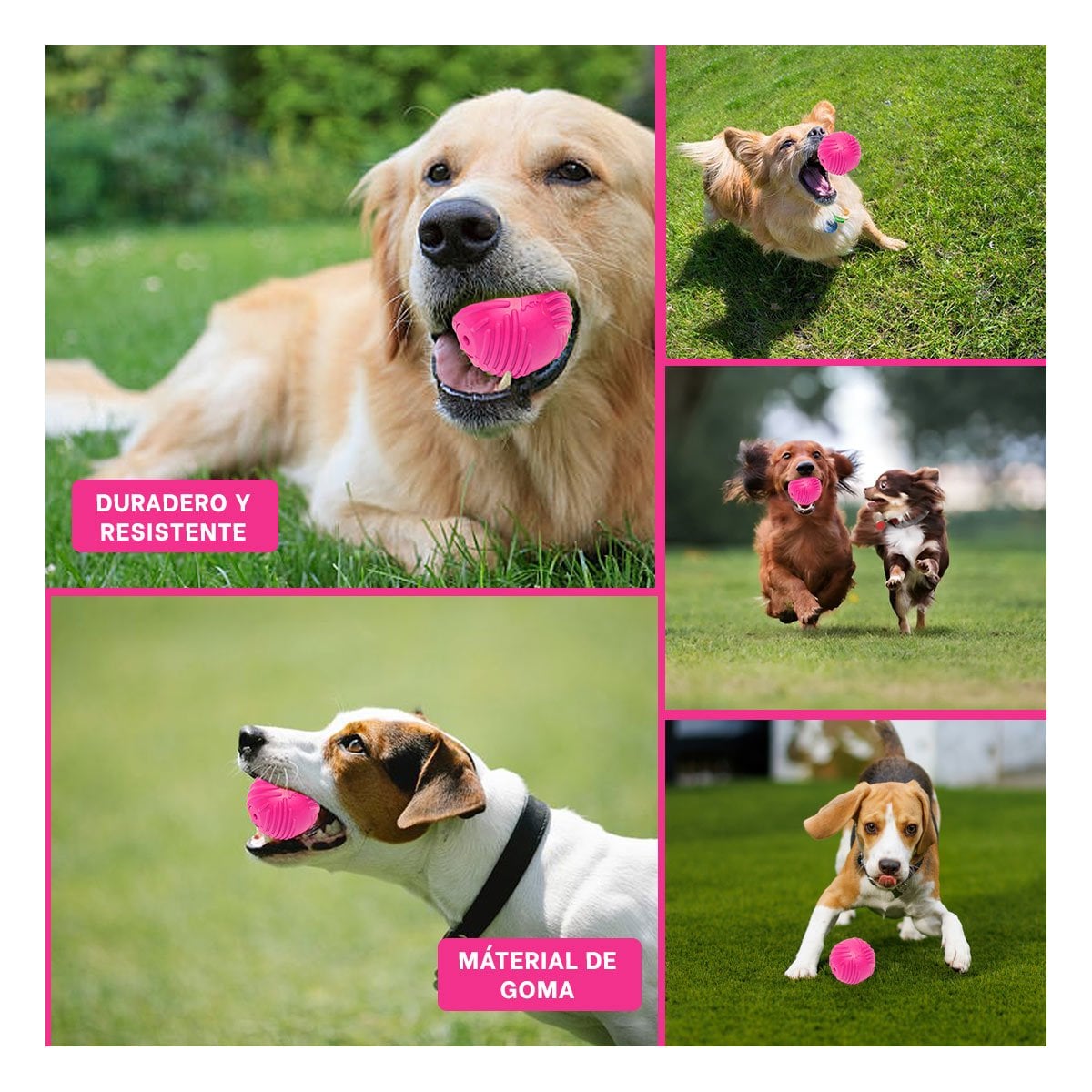 PACK4 BALON A RAYAS DE GOMA EN ROSADO PARA JUEGO SEGURO DE MASCOTAS Y+REGALO STICKER - 2