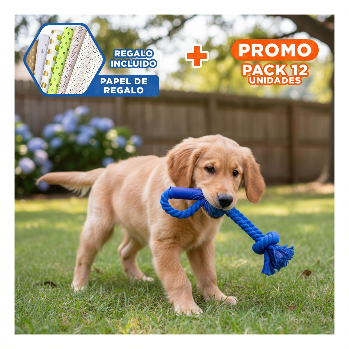 PACK12 CUERDA COMPACTA PARA PERRO CON AGARRADERA DE COLOR AZUL Y+PAPEL REGALO - 1
