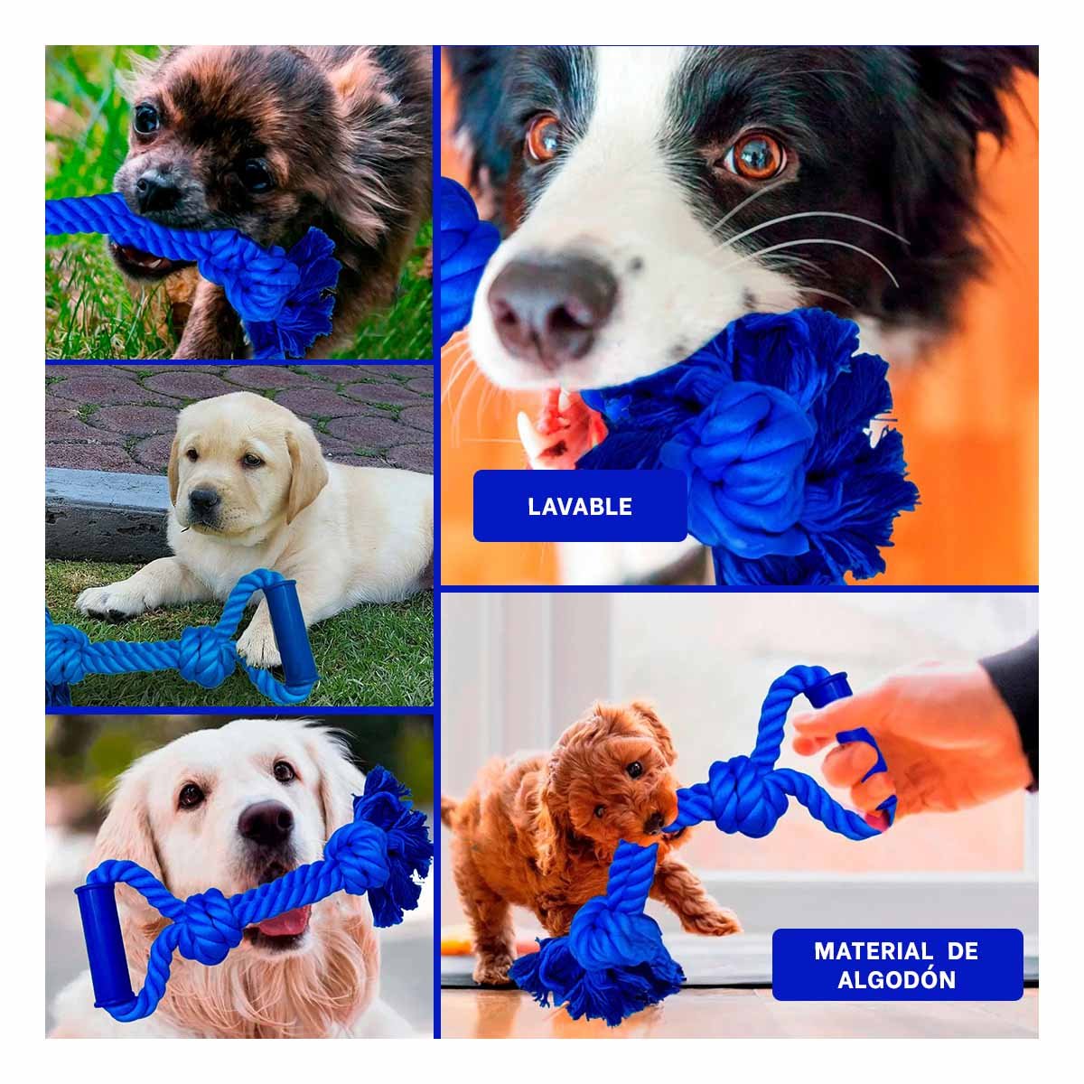 PACK12 CUERDA COMPACTA PARA PERRO CON AGARRADERA DE COLOR AZUL Y+PAPEL REGALO - 2