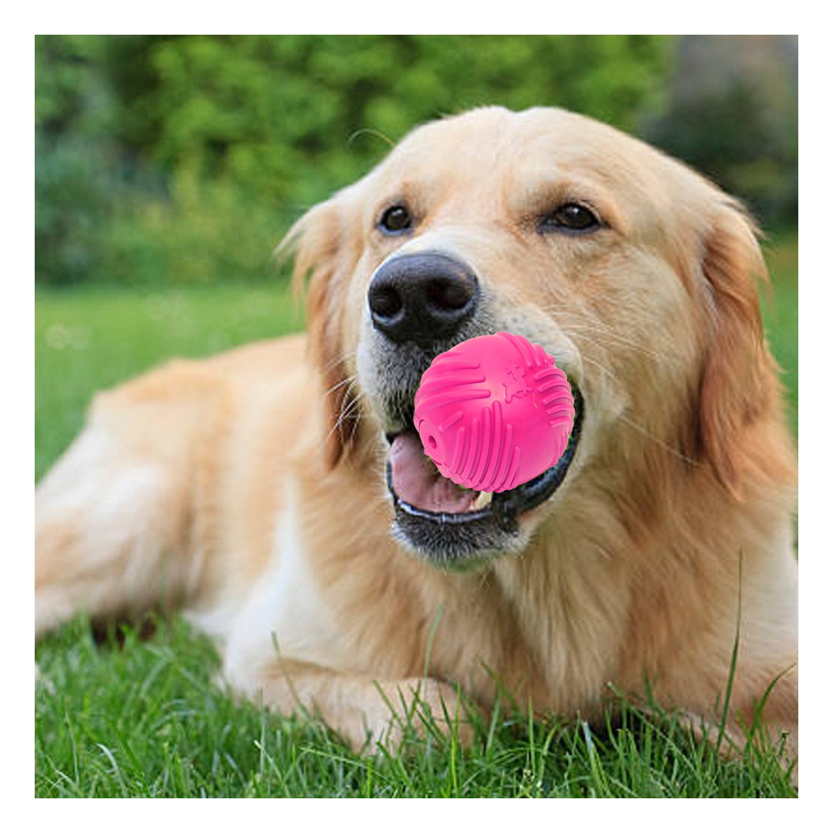 PACK6 BALON COMPACTO DE GOMA CON RAYAS Y COLOR ROSADO PARA DIVERSION DIARIA - 2