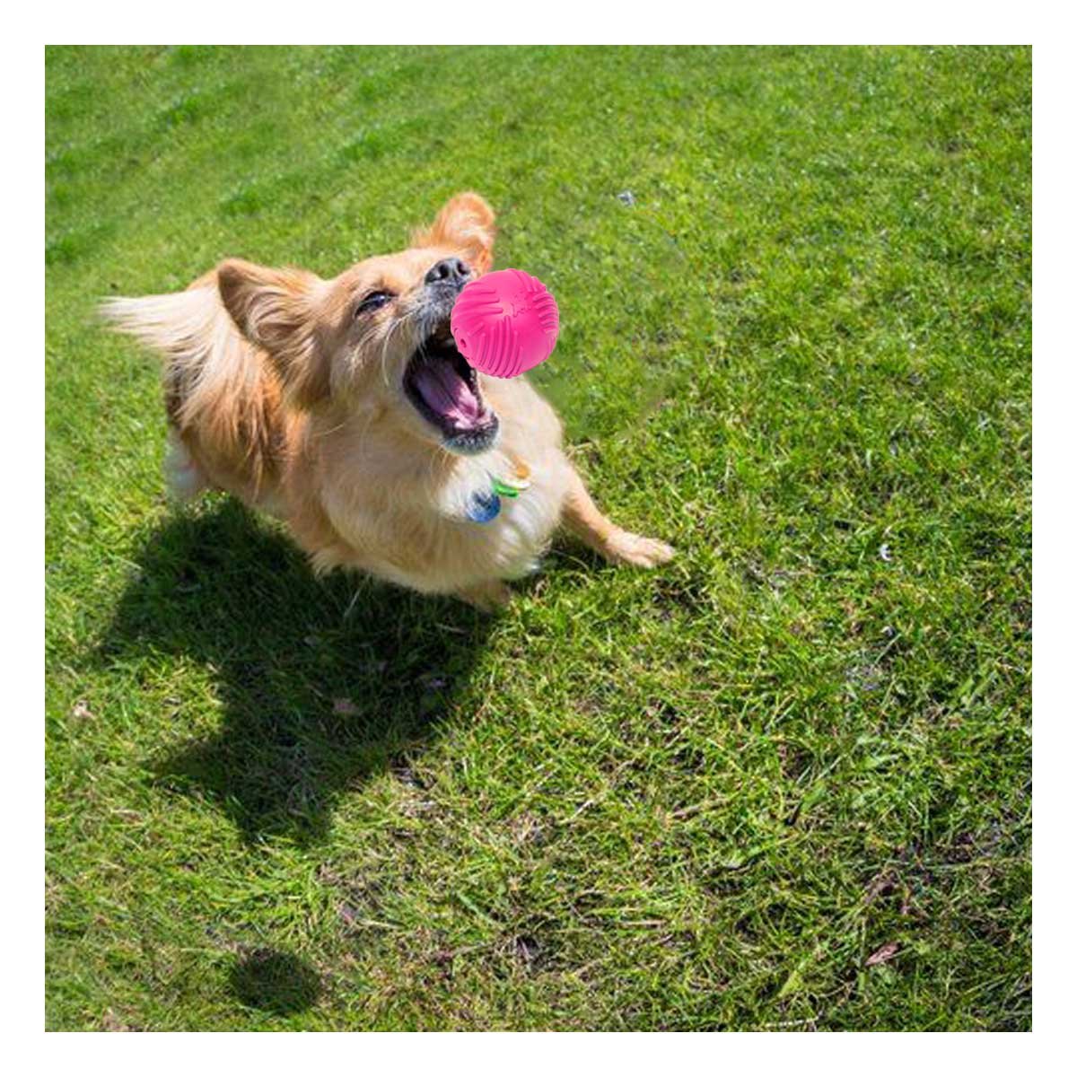 PACK6 BALON COMPACTO DE GOMA CON RAYAS Y COLOR ROSADO PARA DIVERSION DIARIA - 3