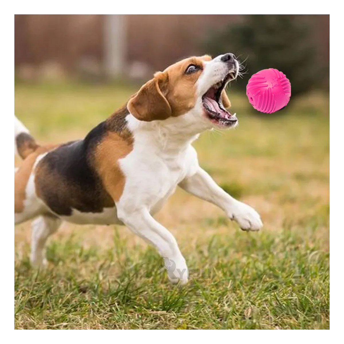 PACK6 BALON COMPACTO DE GOMA CON RAYAS Y COLOR ROSADO PARA DIVERSION DIARIA - 5