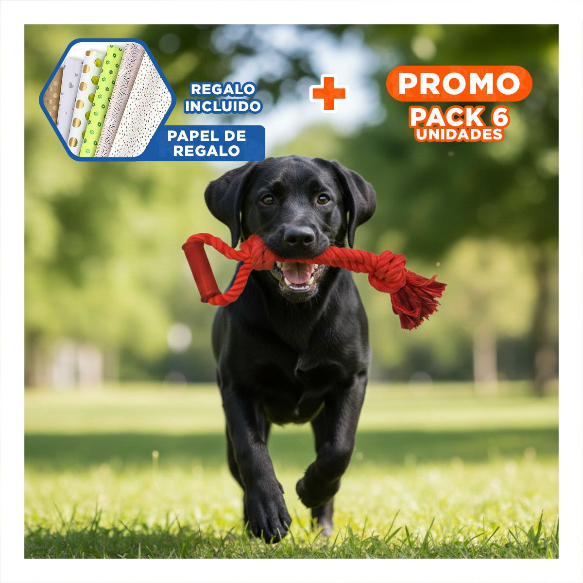 PACK6 CUERDA LIGERA DE ALGODON ROJO PARA PERRO CON AGARRADERA PRACTICA Y+PAPEL REGALO - 1