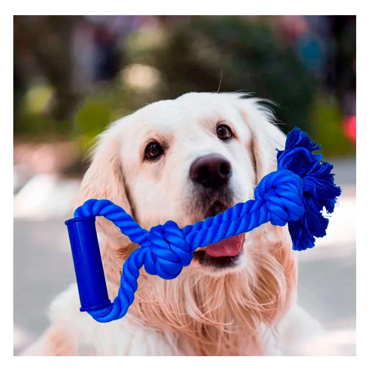 PACK2 SOGA LIVIANA DE ALGODON AZUL PARA PERRO CON AGARRADERA ERGONOMICA - 2