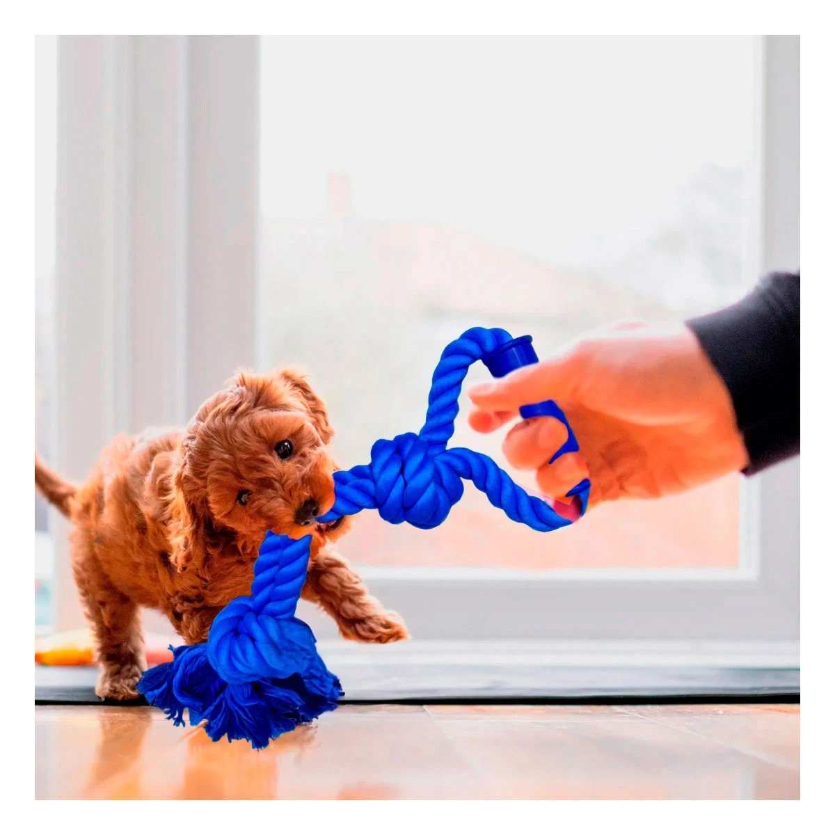PACK2 SOGA LIVIANA DE ALGODON AZUL PARA PERRO CON AGARRADERA ERGONOMICA - 3