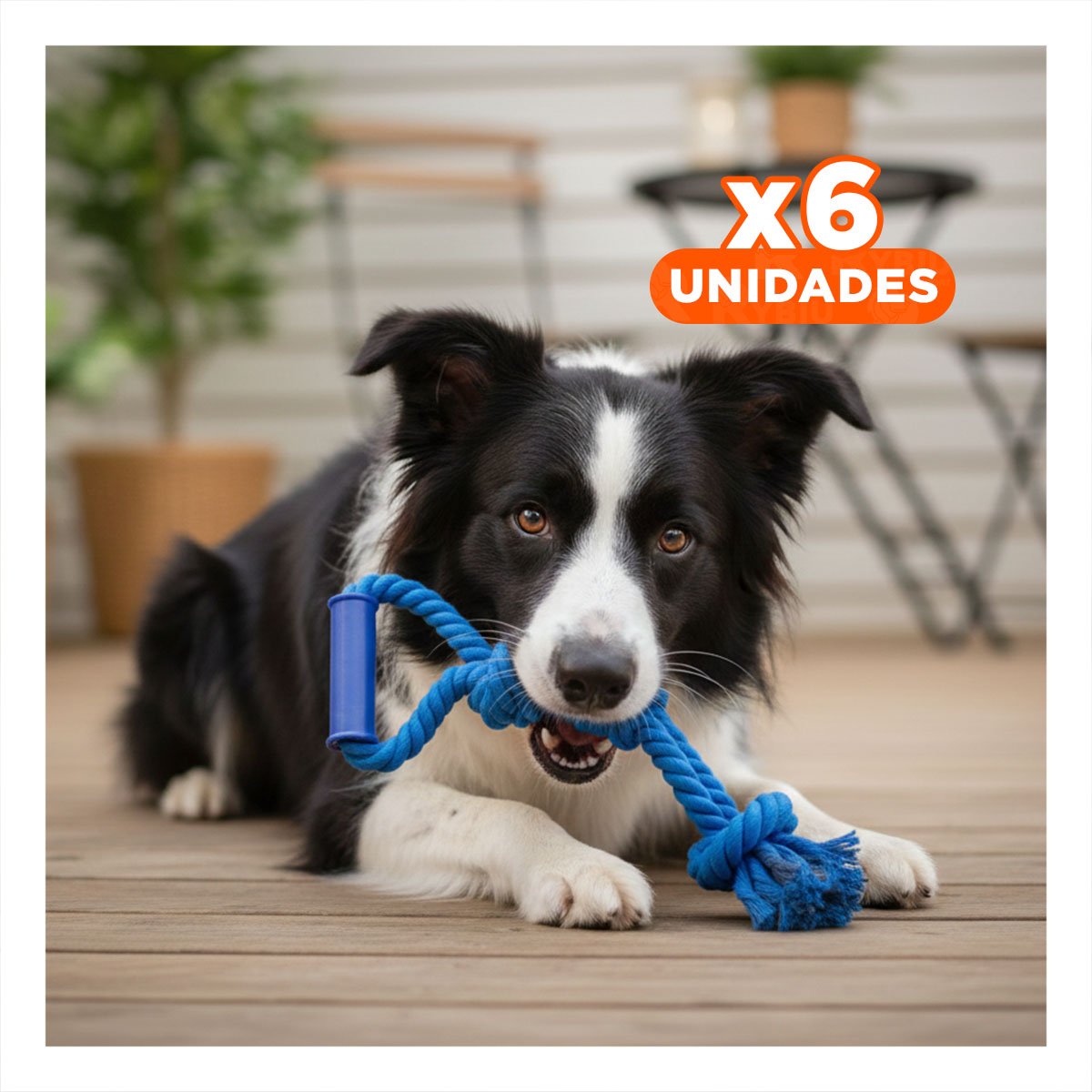 PACK6 CUERDA FUNCIONAL PARA PERRO CON AGARRADERA EN COLOR AZUL Y+REGALO STICKER - 1