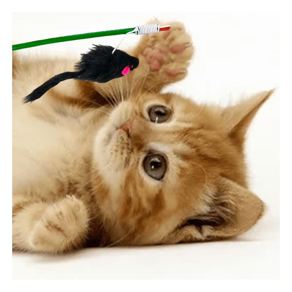 PACK6 ACCESORIO PARA GATO CON VARITA DE COLOR VERDE Y RATON NEGRO COMPACTO Y+PAPEL REGALO - 2