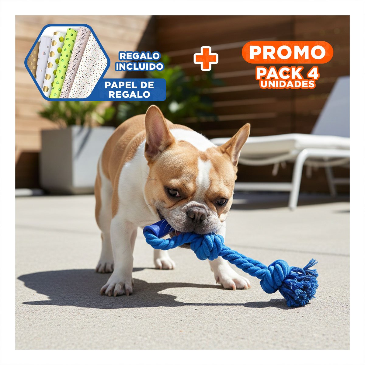 PACK4 SOGA COMPACTA PARA PERRO DE ALGODON COLOR AZUL CON AGARRADERA FIRME Y+PAPEL REGALO - 1