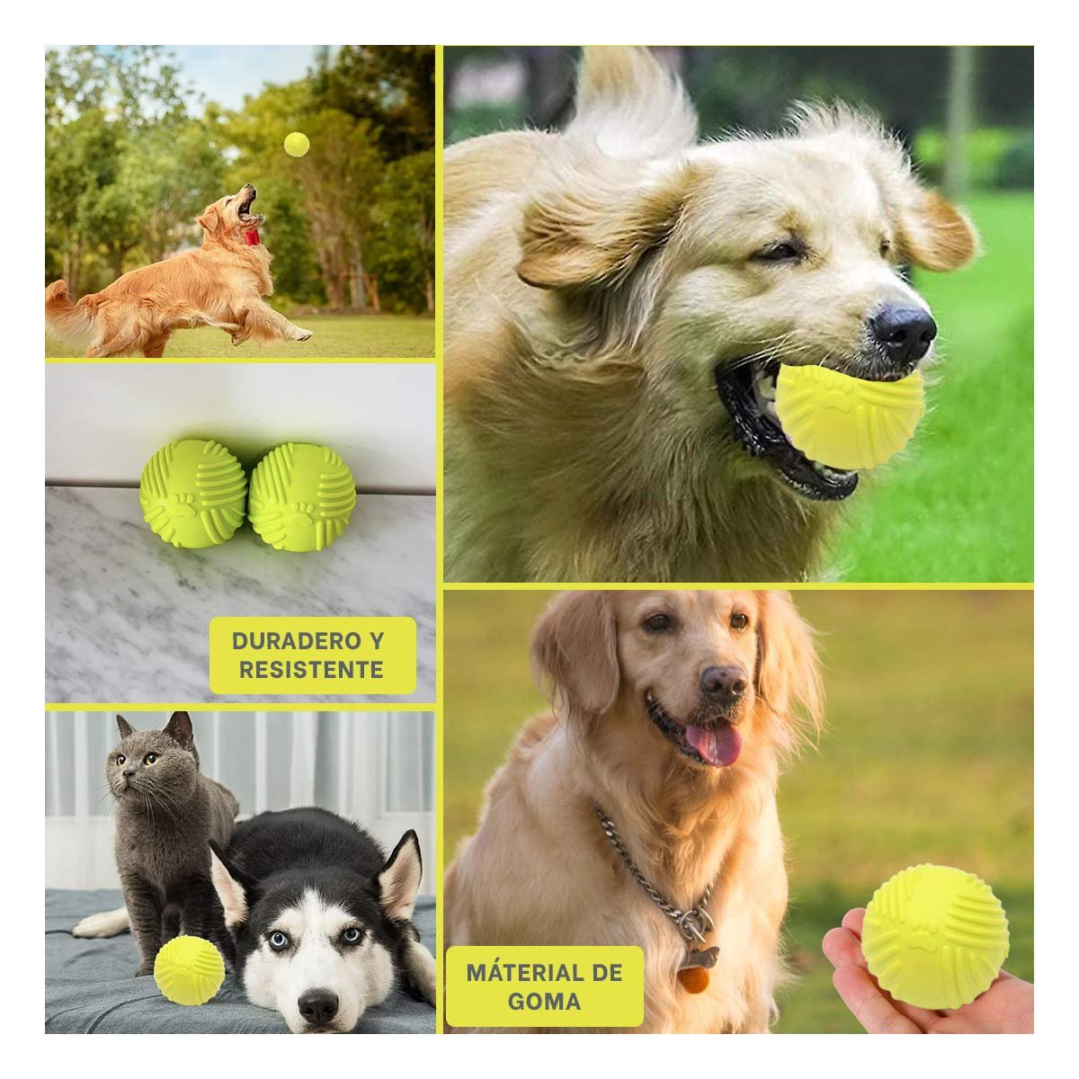PACK4 BALON A RAYAS DE GOMA EN VERDE LIMON PARA JUEGO SEGURO DE MASCOTAS Y+REGALO STICKER - 2