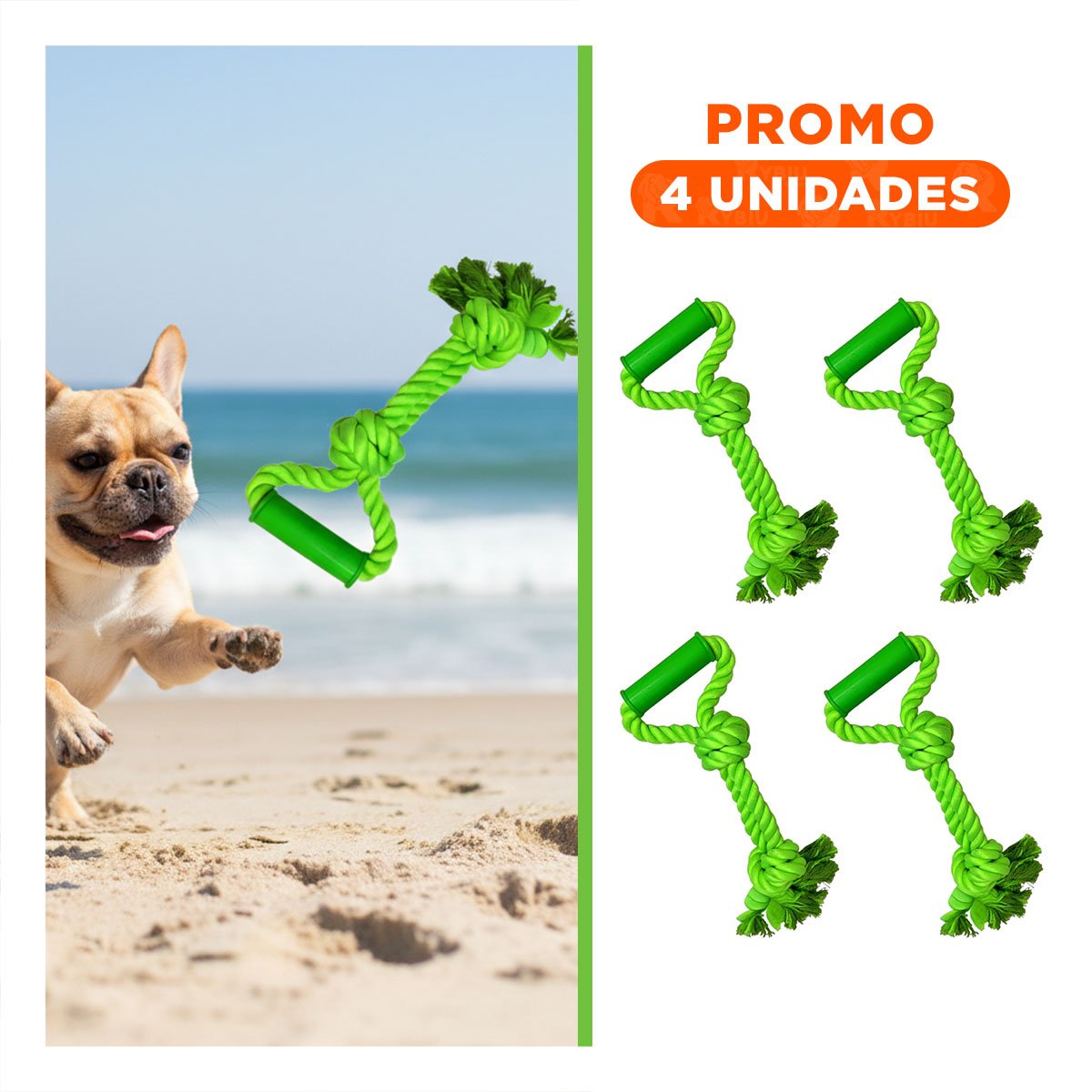 PACK4 ACCESORIO FUNCIONAL PARA PERRO CON AGARRADERA EN COLOR VERDE LIMON Y+REGALO STICKER - 1
