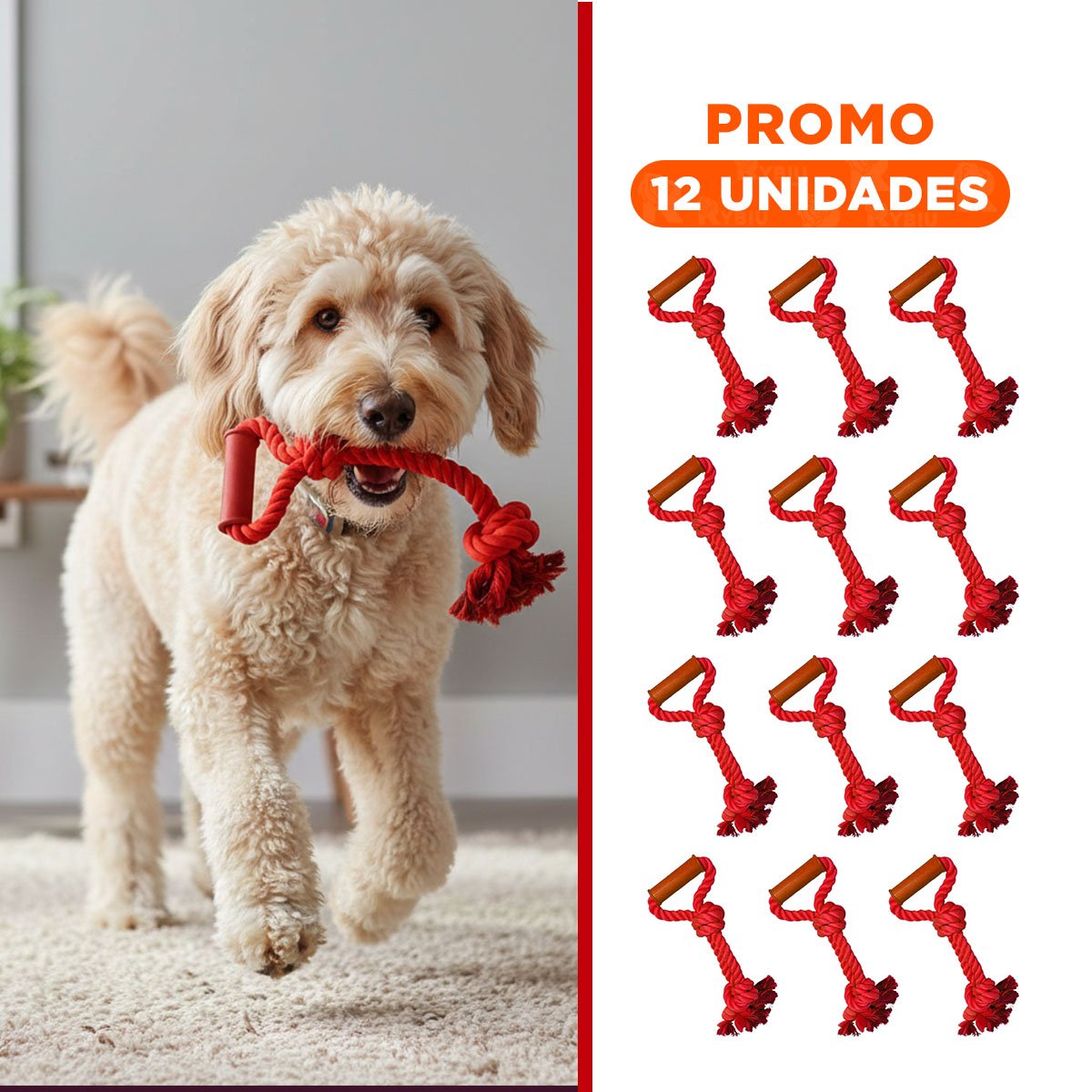 PACK12 CUERDA ACTIVA DE ALGODON ROJO PARA PERRO CON AGARRADERA COMODA Y+REGALO STICKER - 1
