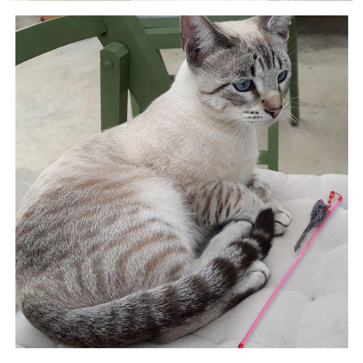 JUGUETE ESTETICO PARA GATO CON VARITA DE COLOR ROSADO Y RATON PLOMO Y+LIGAS REGALO - 2