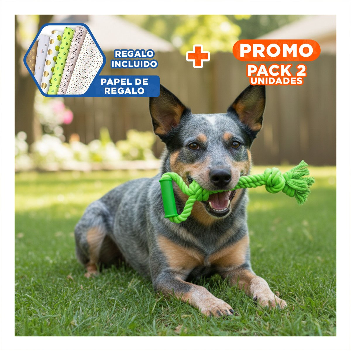 PACK2 CUERDA DURADERA VERDE LIMON CON AGARRADERA DE ALGODON FIRME Y+PAPEL REGALO - 1