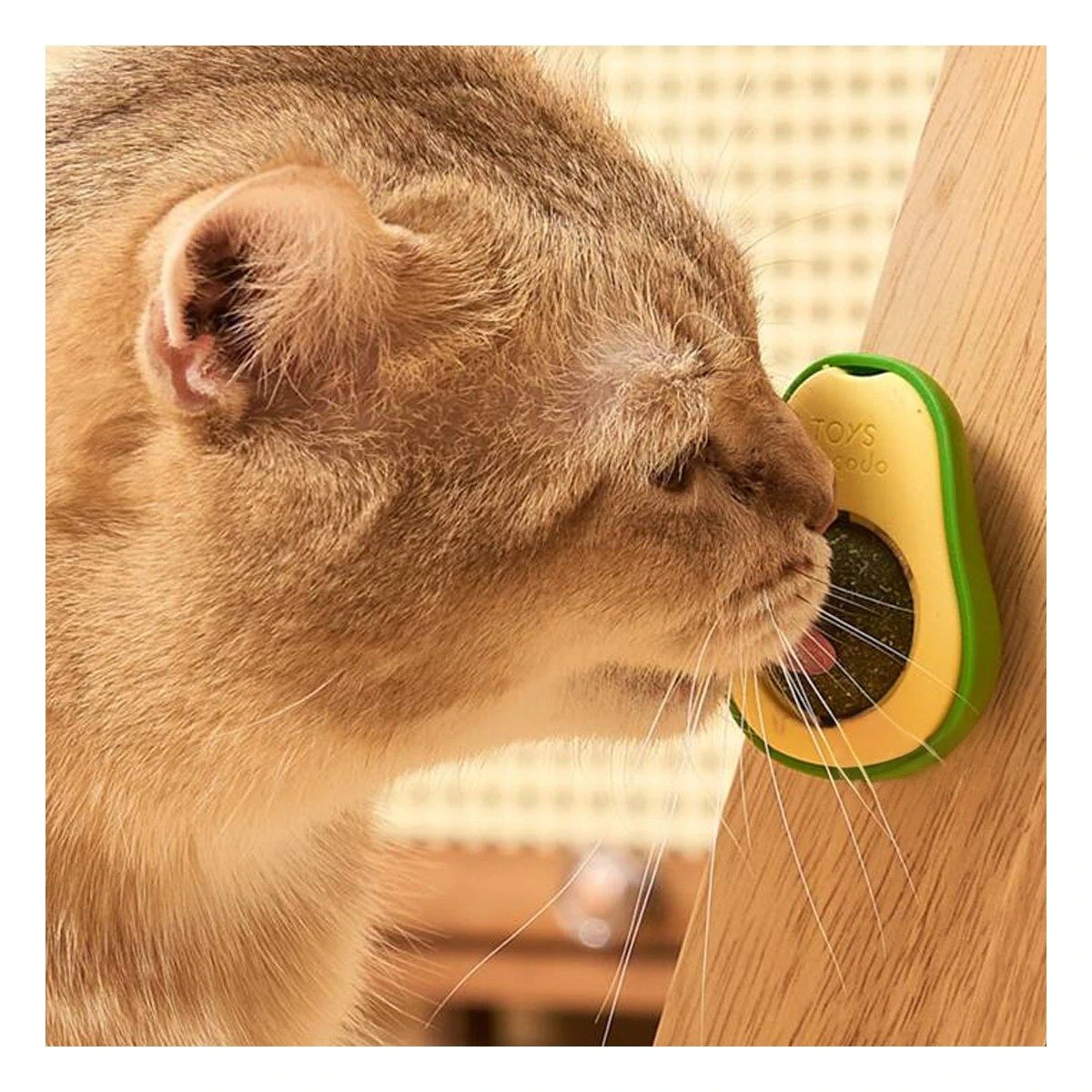 PACK4 JUGUETE CON CATNIP EN FORMA DE PALTA VERDE PARA GATOS CURIOSOS - 2