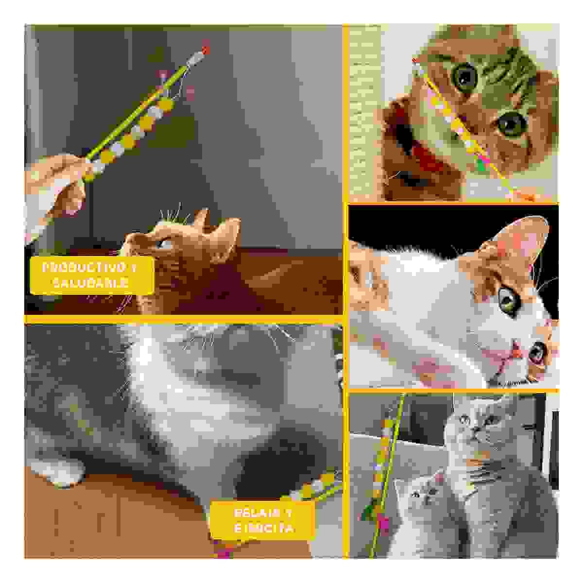 PACK4 ESTIMULO DE PLASTICO PARA GATO CON BOLITAS COLOR AMARRILLO EN JUEGO Y+REGALO STICKER - 2