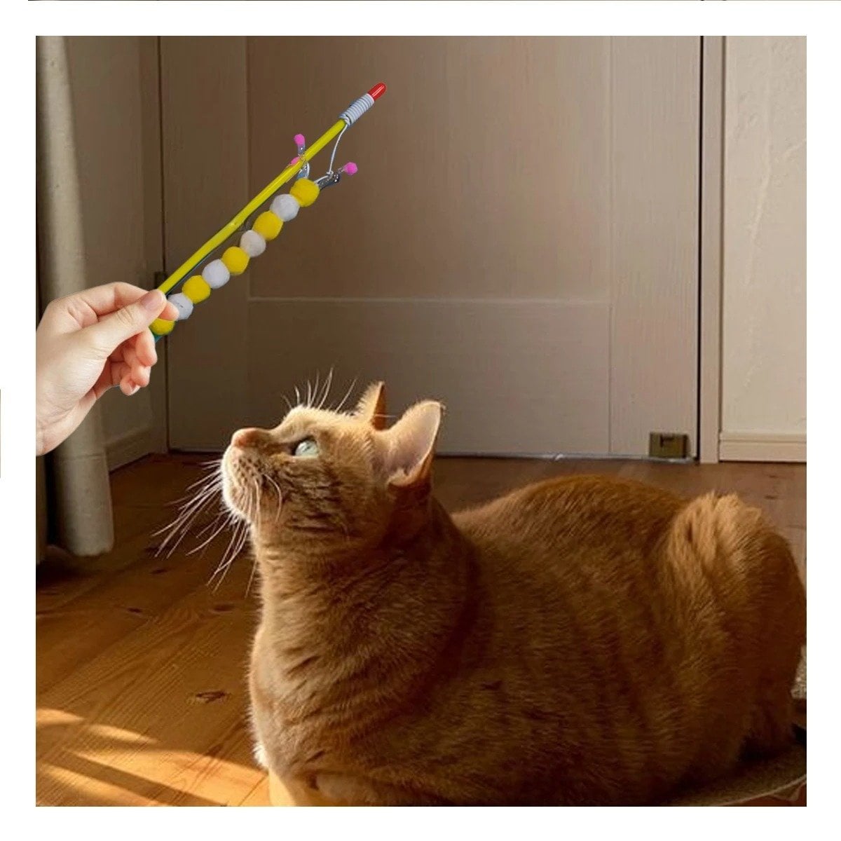 PACK4 ESTIMULO DE PLASTICO PARA GATO CON BOLITAS COLOR AMARRILLO EN JUEGO Y+REGALO STICKER - 3