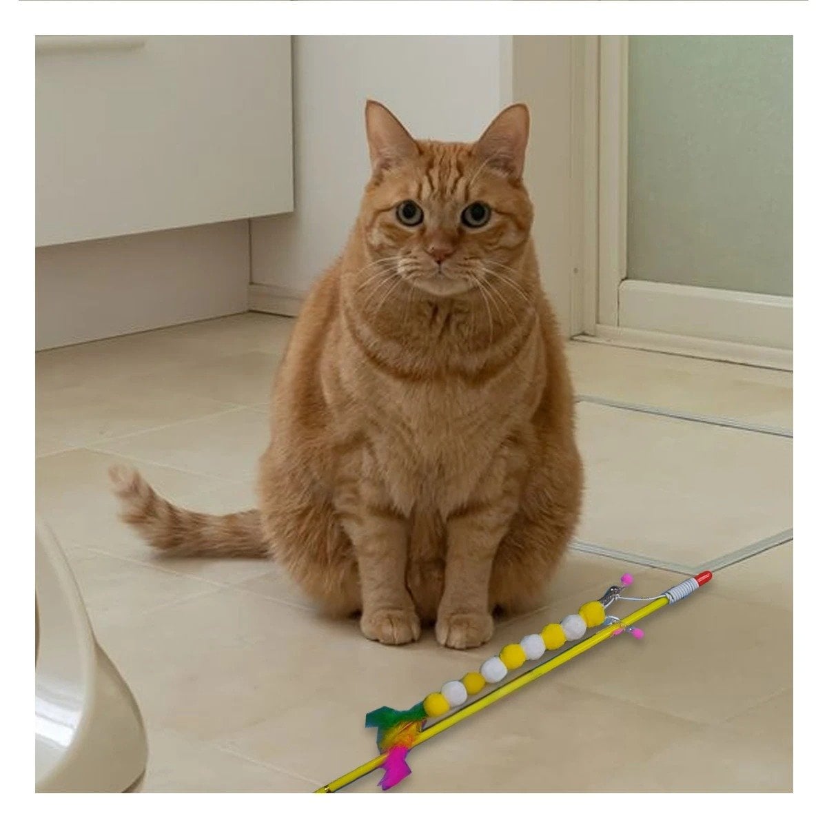 PACK4 ESTIMULO DE PLASTICO PARA GATO CON BOLITAS COLOR AMARRILLO EN JUEGO Y+REGALO STICKER - 5