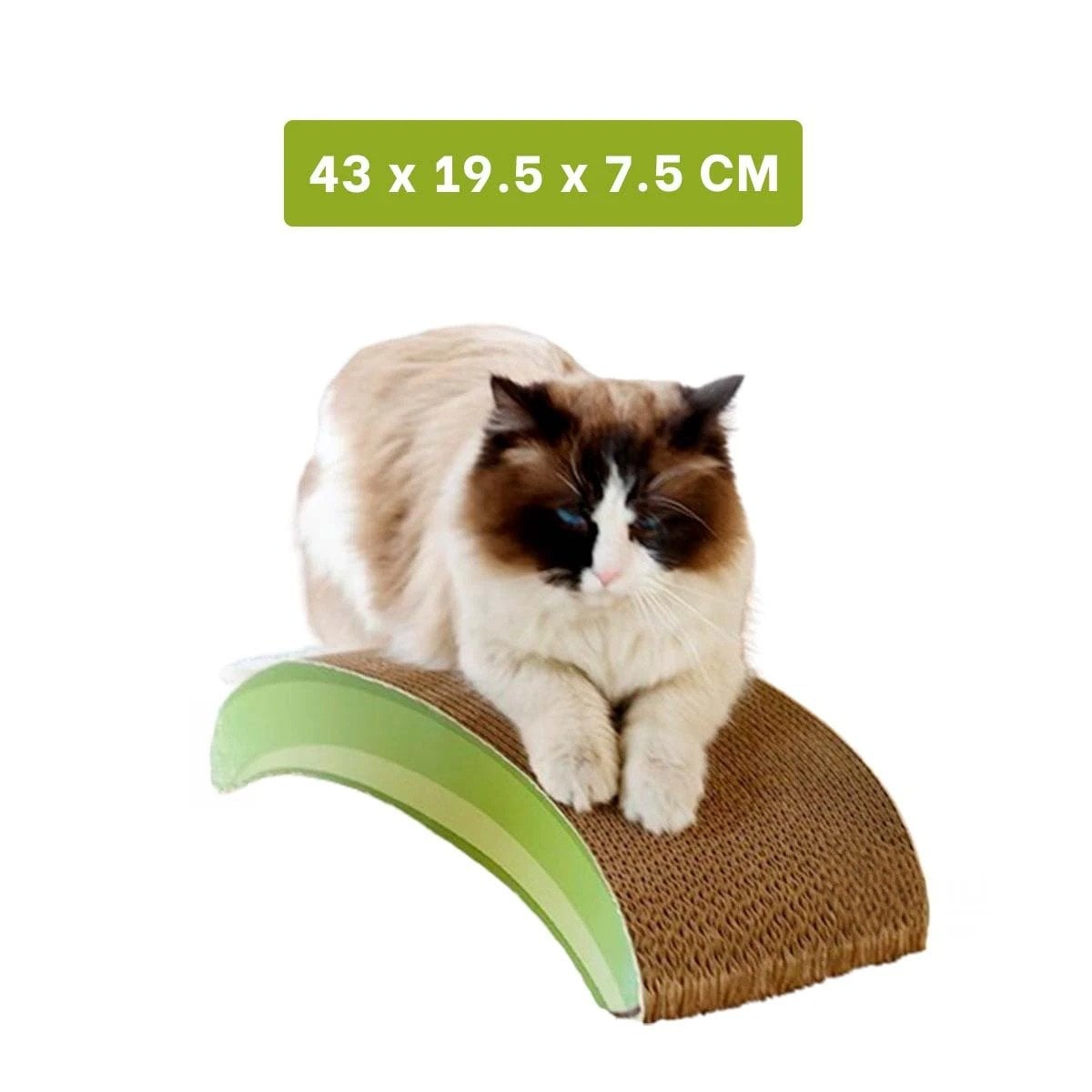 PACK4 MODELO COMPACTO PLATANO EN COLOR MARRON CON BASE DE CARTON REFORZADO Y+REGALO STICKER - 4