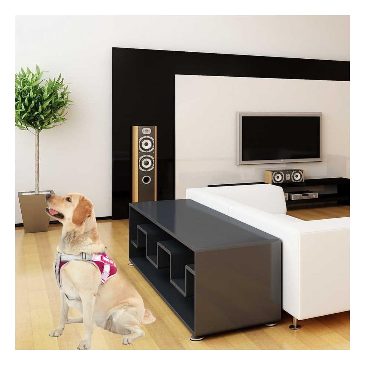 PACK2 CHALECO AJUSTABLE SERVICE DOG TALLA XL FUCSIA CON ASA - 5