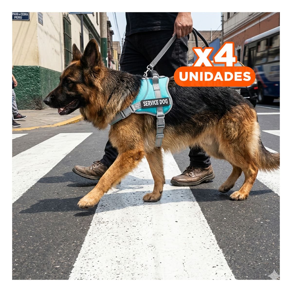 PACK4 PECHERA RESISTENTE SERVICE DOG TALLA L TURQUEZA CON ASA - 1
