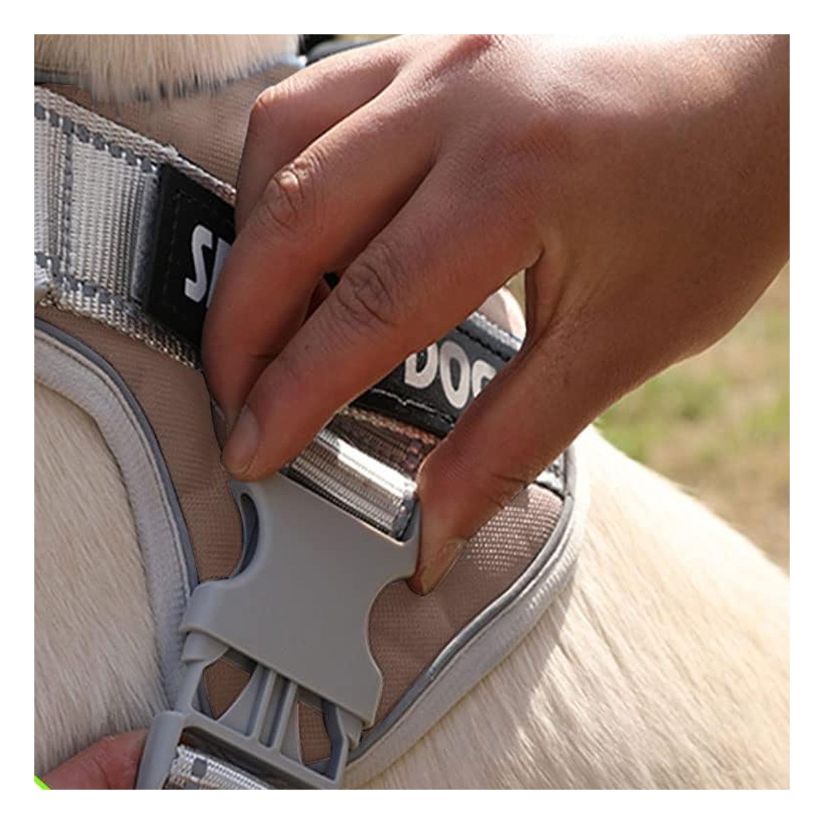 PACK4 PECHERA RESISTENTE SERVICE DOG TALLA XL MARRON CON ASA - 3