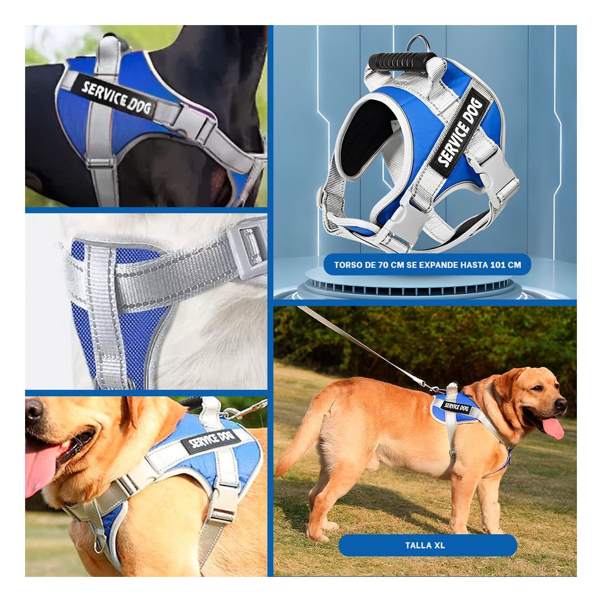 CHALECO PROFESIONAL SERVICE DOG TALLA XL AZUL CON ASA - 5