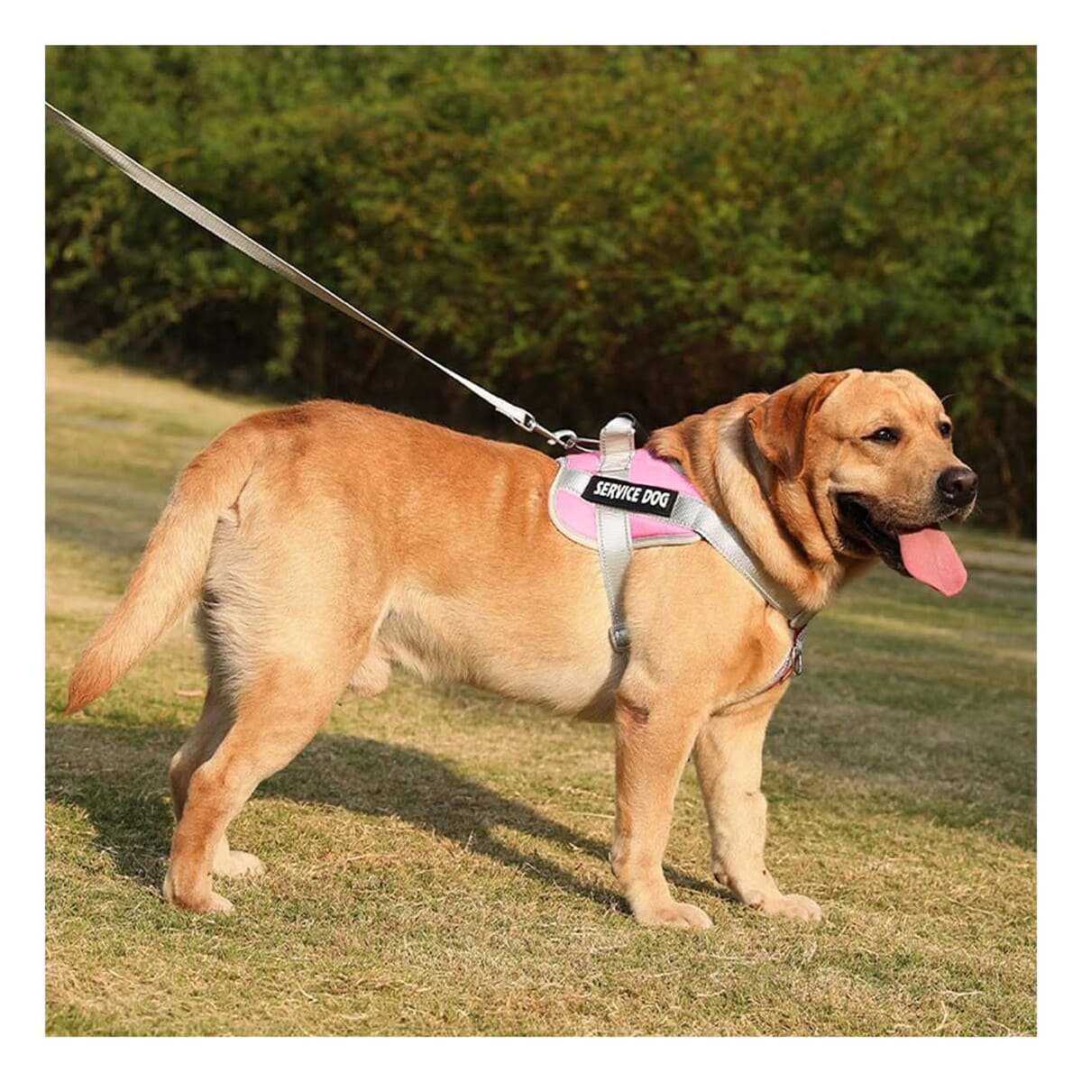 PACK2 HARNESS AJUSTABLE SERVICE DOG TALLA XL ROSADO CLARO CON ASA Y+PAPEL REGALO - 5