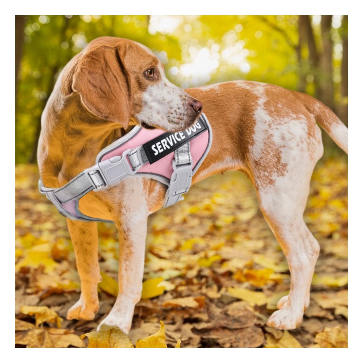 ARNES AJUSTABLE SERVICE DOG TALLA L ROSADO CLARO CON ASA Y+POST IT - 2