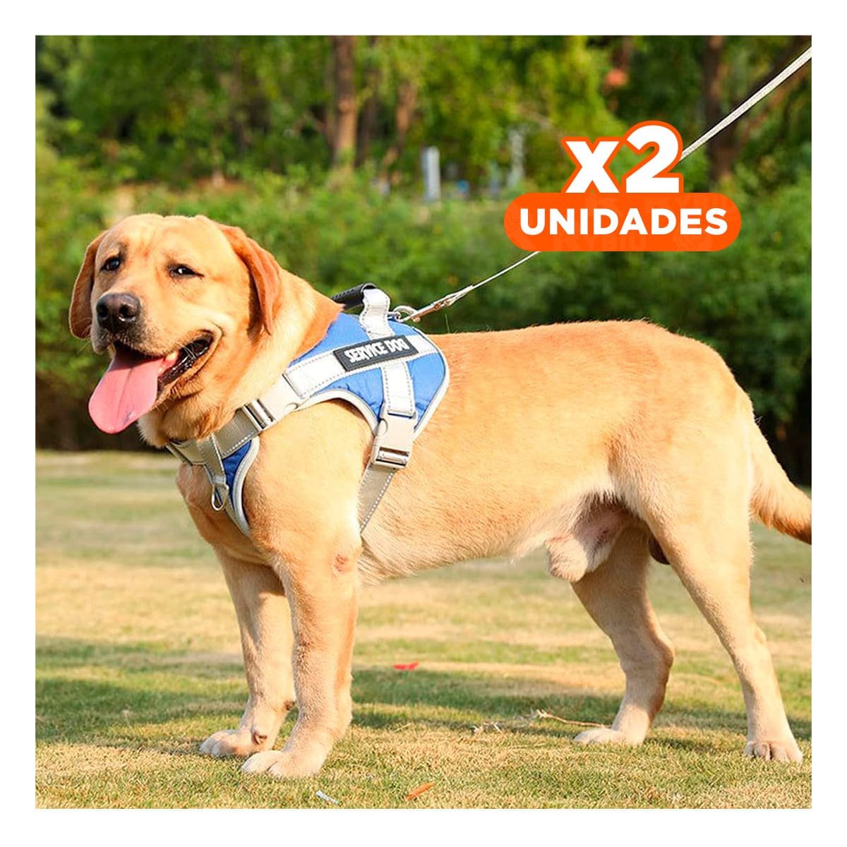 PACK2 PETO AJUSTABLE SERVICE DOG TALLA XL AZUL CON ASA Y+REGALO STICKER - 1