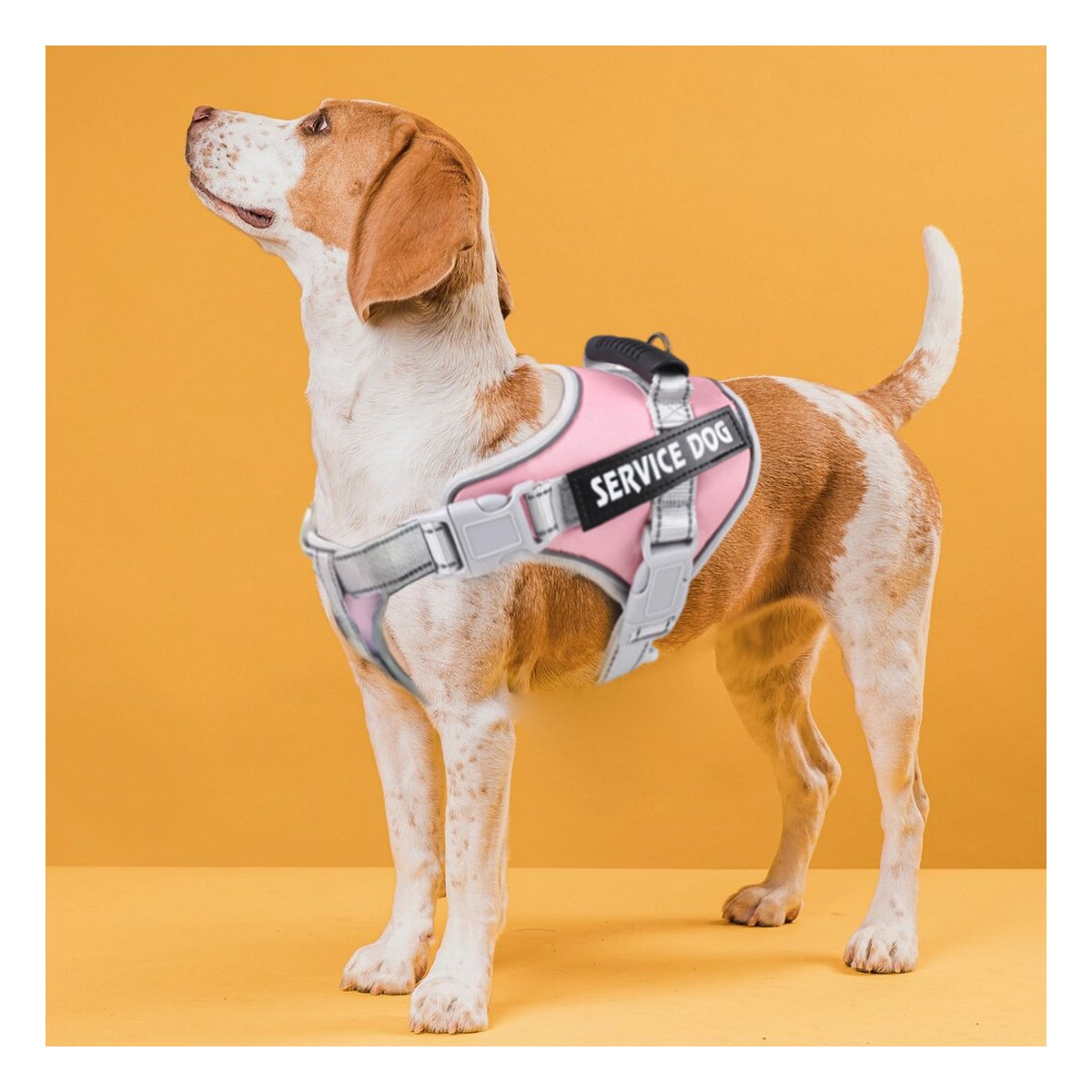 PACK6 PECHERA COMODA SERVICE DOG TALLA L ROSADO CLARO CON ASA Y+REGALO STICKER - 3