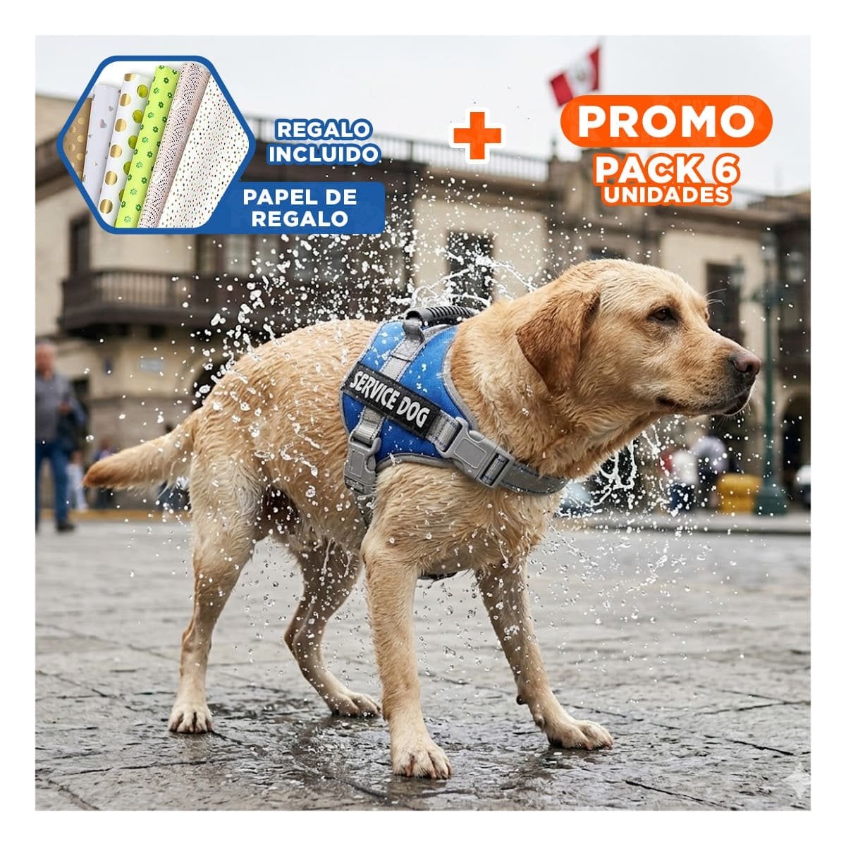 PACK6 PETO RESISTENTE SERVICE DOG TALLA XL AZUL CON ASA Y+PAPEL REGALO - 1