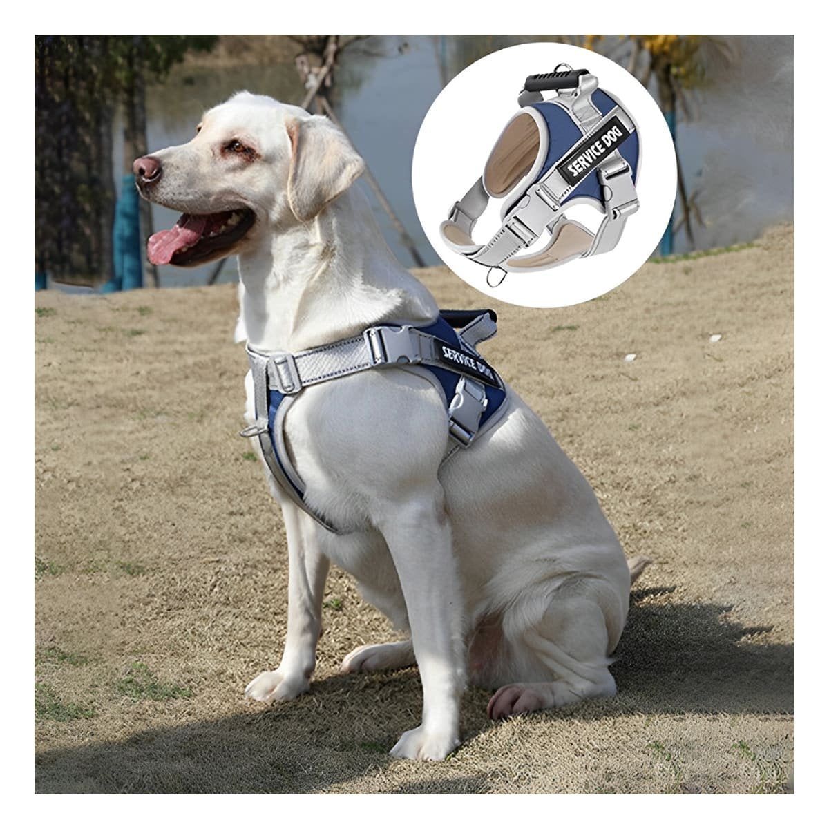 PACK6 PETO RESISTENTE SERVICE DOG TALLA XL AZUL CON ASA Y+PAPEL REGALO - 2