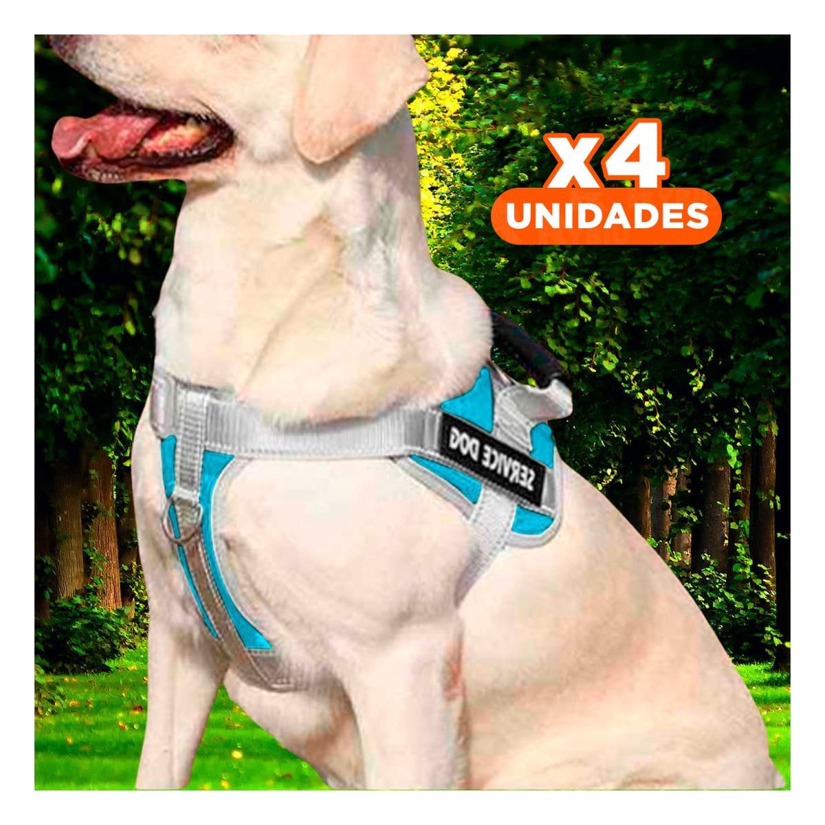 PACK4 PECHERA RESISTENTE SERVICE DOG TALLA XL TURQUEZA CON ASA - 1