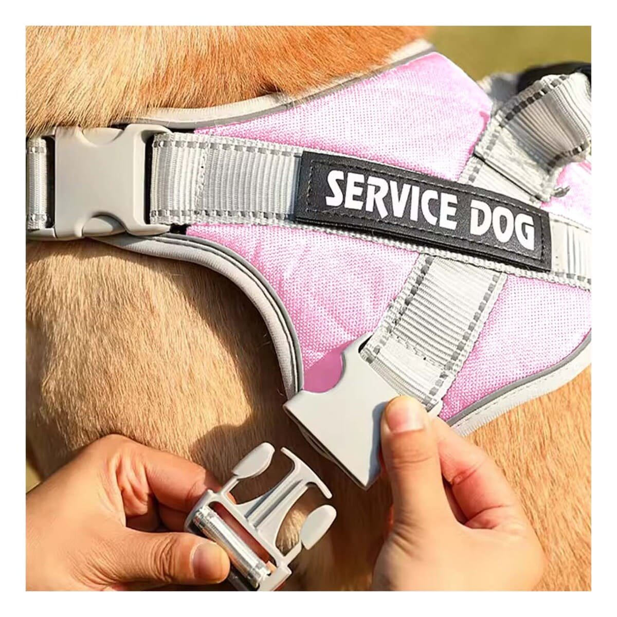 PACK2 PETO AJUSTABLE SERVICE DOG TALLA XL ROSADO CLARO CON ASA Y+REGALO STICKER - 5