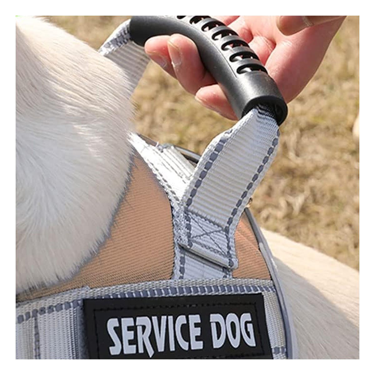 PACK6 PETO RESISTENTE SERVICE DOG TALLA XL MARRON CON ASA Y+PAPEL REGALO - 2