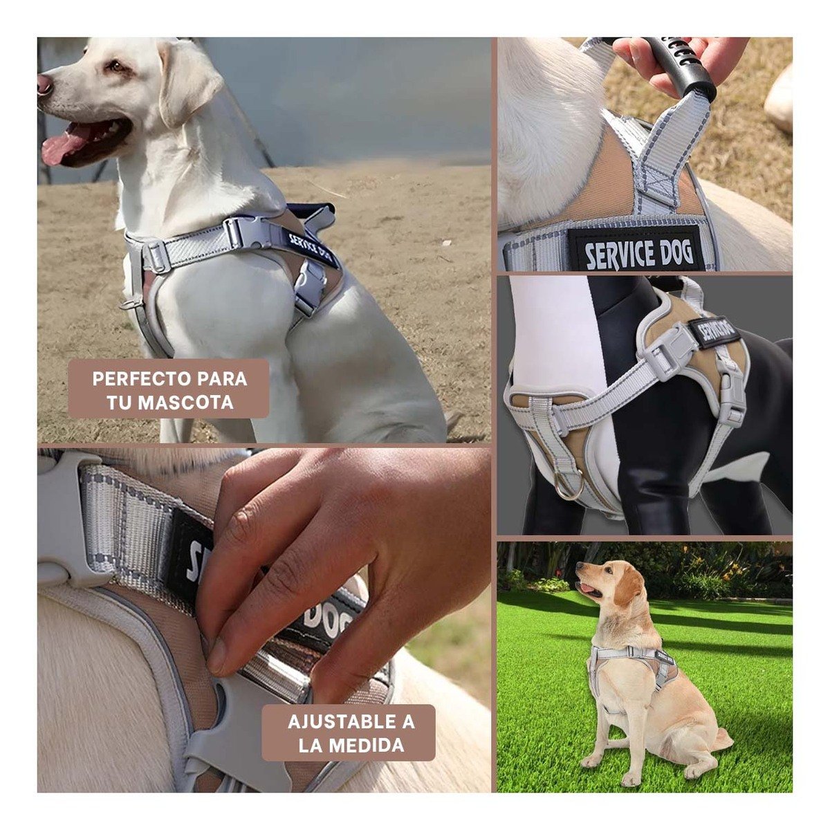 PACK6 PETO RESISTENTE SERVICE DOG TALLA XL MARRON CON ASA Y+PAPEL REGALO - 3