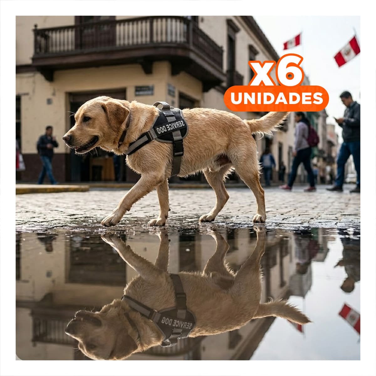 PACK6 PECHERA COMODA SERVICE DOG TALLA XL NEGRO CON ASA Y+REGALO STICKER - 1