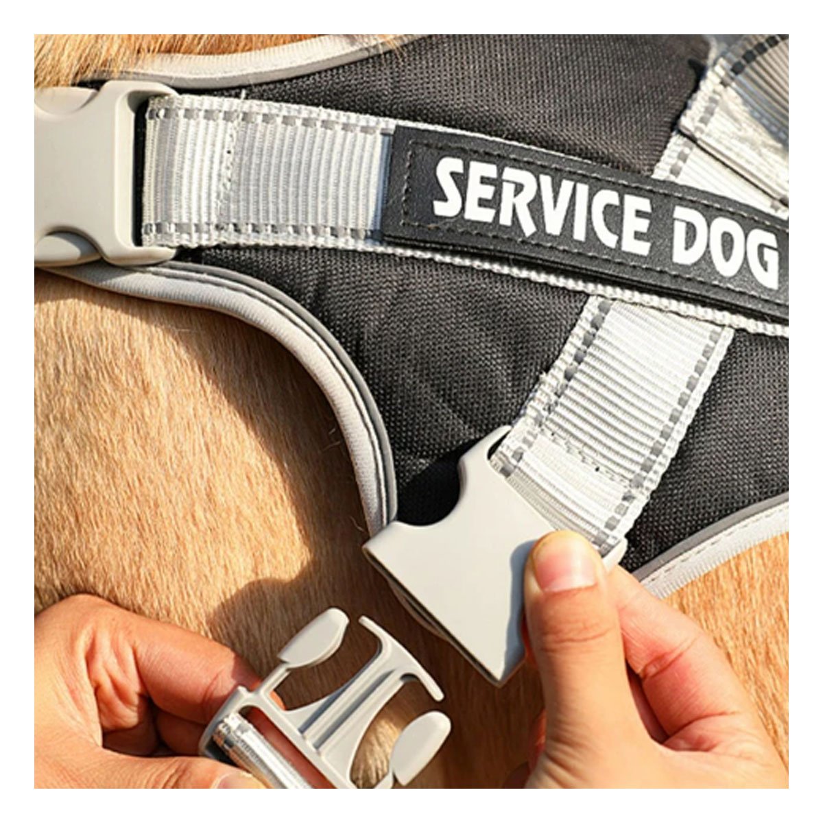 PACK6 PECHERA COMODA SERVICE DOG TALLA XL NEGRO CON ASA Y+REGALO STICKER - 3