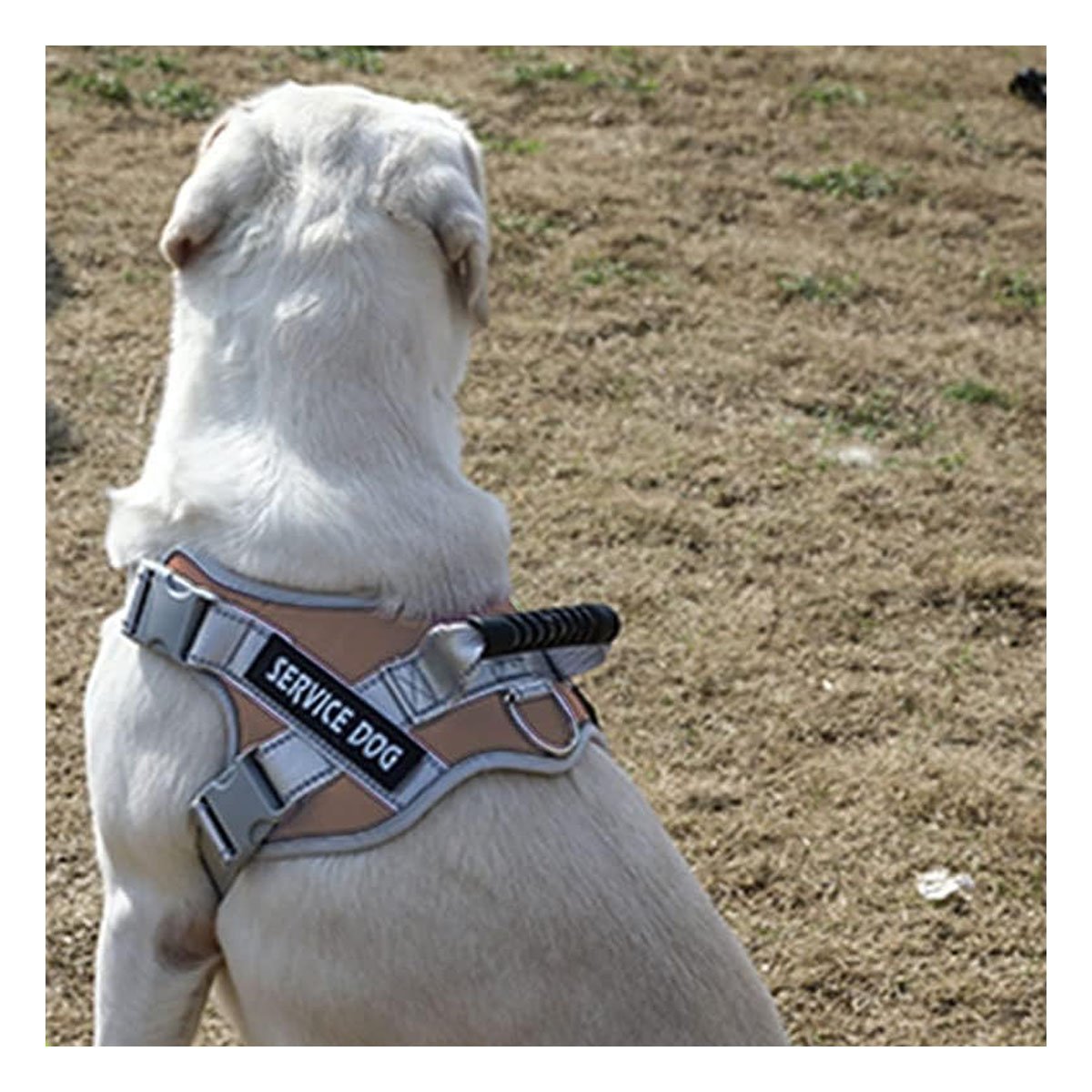 HARNESS PROFESIONAL SERVICE DOG TALLA XL MARRON CON ASA Y+PAPEL REGALO - 5