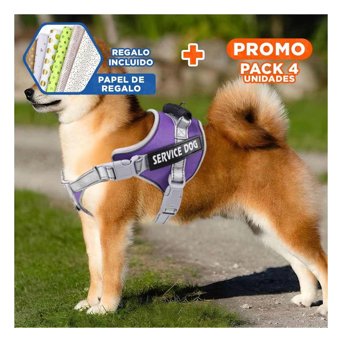 PACK4 ARNES RESISTENTE SERVICE DOG TALLA L MORADO CON ASA Y+PAPEL REGALO - 1
