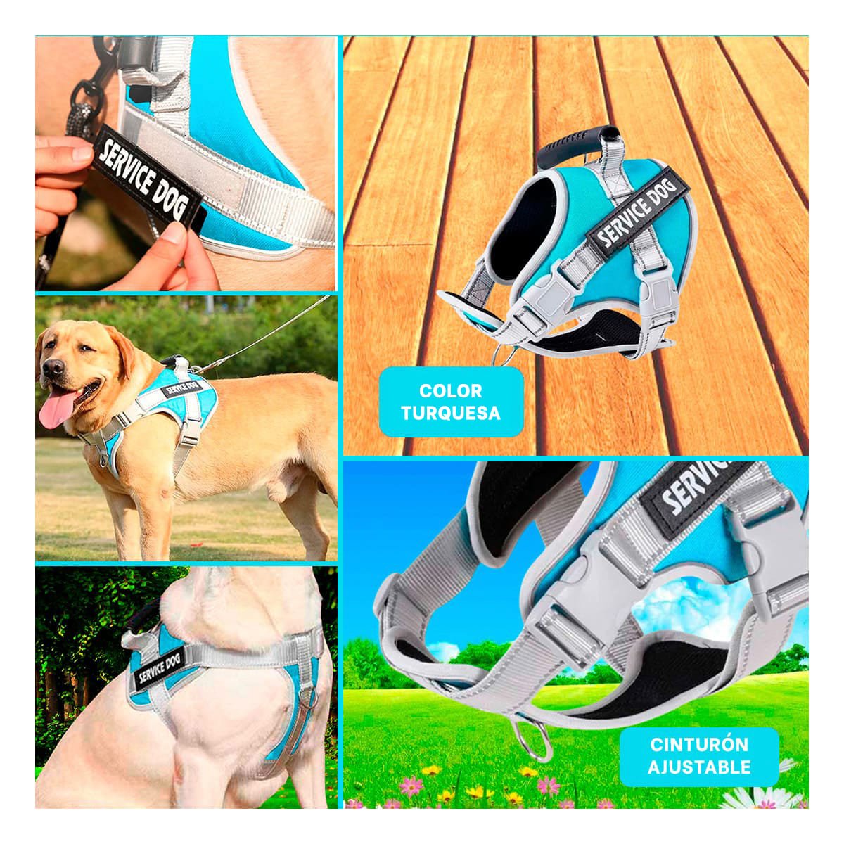ARNES AJUSTABLE SERVICE DOG TALLA L TURQUEZA CON ASA Y+POST IT - 1