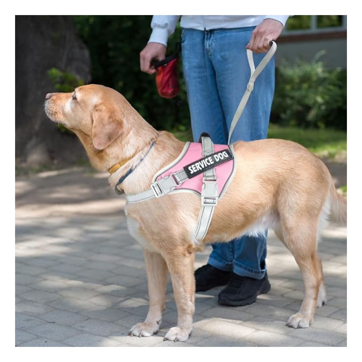 PETO PROFESIONAL SERVICE DOG TALLA XL FUCSIA CON ASA Y+REGALO STICKER - 2
