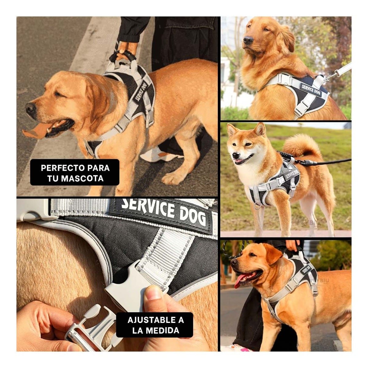ARNES AJUSTABLE SERVICE DOG TALLA XL NEGRO CON ASA Y+POST IT - 1