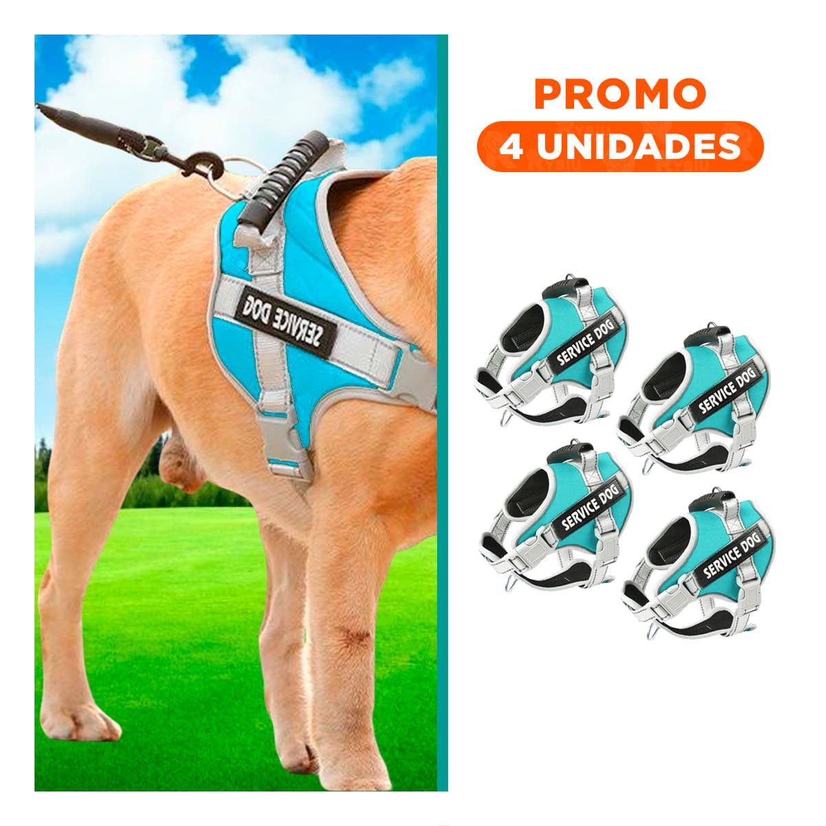 PACK4 CHALECO RESISTENTE SERVICE DOG TALLA XL TURQUEZA CON ASA Y+REGALO STICKER - 1