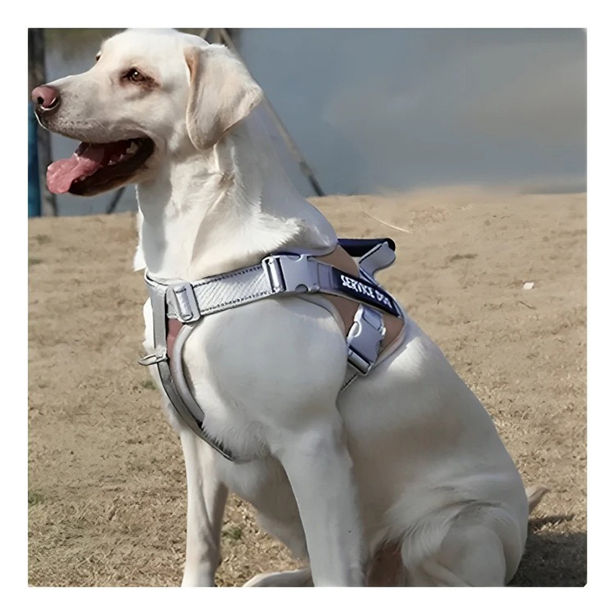 PACK6 HARNESS RESISTENTE SERVICE DOG TALLA XL MARRON CON ASA - 3