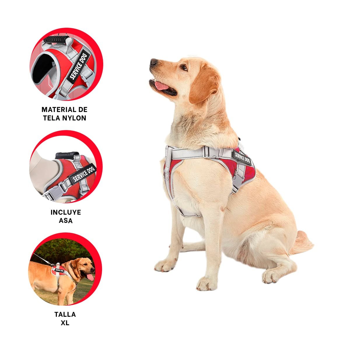 PACK6 PECHERA COMODA SERVICE DOG TALLA XL ROJO CON ASA Y+REGALO STICKER - 2