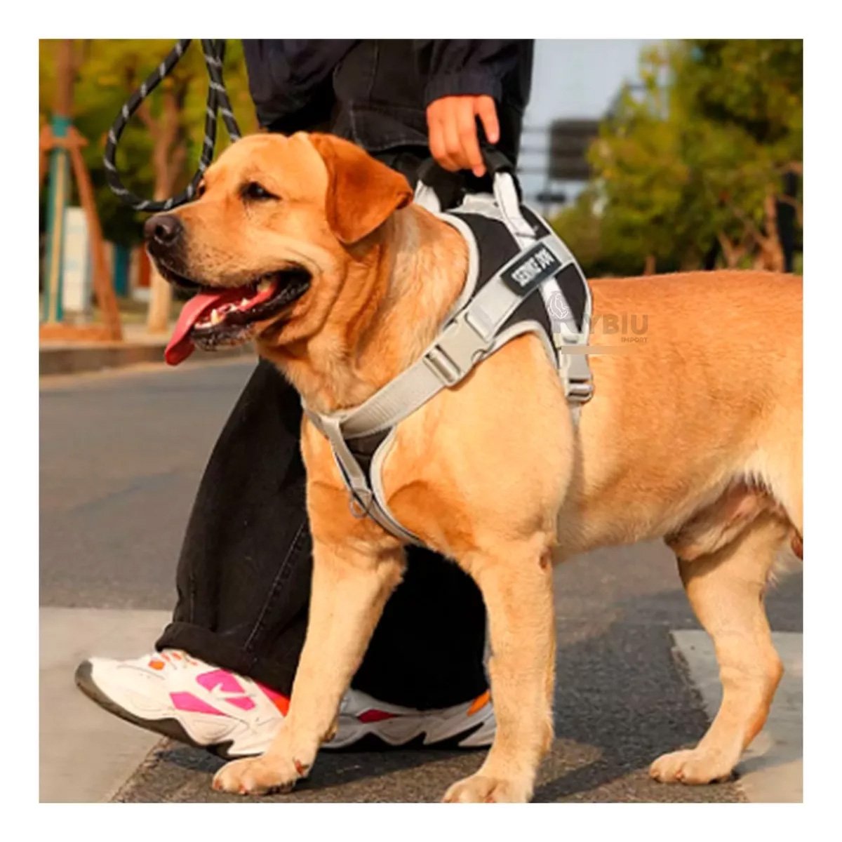 PACK6 HARNESS RESISTENTE SERVICE DOG TALLA XL NEGRO CON ASA - 3