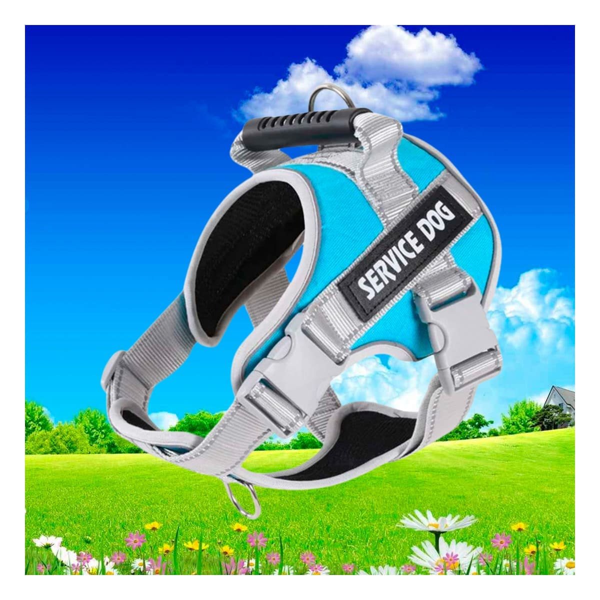 HARNESS PROFESIONAL SERVICE DOG TALLA XL TURQUEZA CON ASA Y+PAPEL REGALO - 5